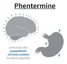 Image result for Plenity