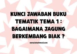 Perkembangbiakan jagung dapat dilakukan dengan cara menanam biji jagung. Kunci Jawaban Buku Tematik Tema 1 Bagaimana Jagung Berkembang Biak Laluahmad Com