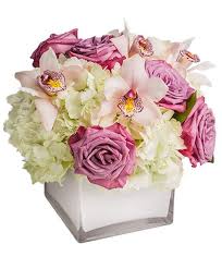 Fiori bianchi in vaso di vetro su bianco con rosa singola. Vaso Di Vetro Cubico Di Rose Rosa Orchidee Bianche E Ortensie Bianche Senza Verde Decorativo