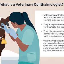 Ophthalmologists earn an average of $357,000 a year, according to the medscape ophthalmologist compensation report from 2018. Veterinary Ophthalmologist Job Description Salary Skills More