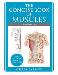 Anatomy • free medical books. The Concise Book Of Muscles 4th Edition Pdf Free Pdf Epub Medical Books