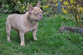 Maybe you would like to learn more about one of these? From Family To Family Oscar