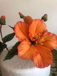 But, out of all the edible hibiscus, roselle is the most loved flower for it's enchanting look, vibrant colour and tangy flavour that it imparts in food. Orange Hibiscus Flowers Hand Made Sonia Cakes