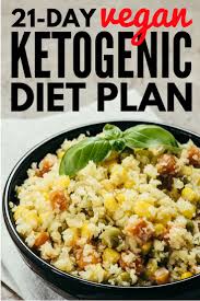Vegan Ketogenic Diet 21 Day Vegan Keto Diet Plan Vegan Ketogenic Diet Vegan Meal Plans Vegan Keto Diet Plan