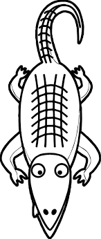 Awesome Top View Crocodile Alligator Coloring Page Deer Coloring Pages Coloring Pages Free Printable Coloring Pages