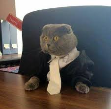 51585660 kanun keseksaan akta 574. Follow Up From My Watching Brief Sharon Jikin Partners Facebook