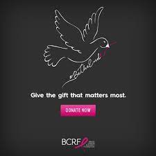 Pin On Bcrf Favorites