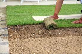 Once your seed is down, rake the area again to work seed into the soil about 1/8 to 1/4 inch deep. Tips For Soil Preparation Before Laying Sod Planting Grass Sod Installation Lawn Care