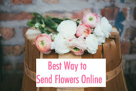 Check spelling or type a new query. Best Way To Send Flowers Online Tips For Nationwide Flower Delivery
