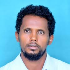 Calibration, validation, parameterization, and simulation of maize growth &  yield using DSSAT-CERES-maize model (v.4.7). Your experience, please?