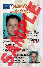 Image result for under 18 drivers license