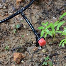 Drip irrigation is the micro irrigation technologies used nowadays. Adjustable Irrigation Drippers Emitters Micro Sprinklers Heads 1 4 Inch Drip Watering Kits For Greenhouse Patio Garden Flower Bed 151 Pack Buy Adjustable Irrigation Drippers Emitters Micro Sprinklers Heads 1 4 Inch Drip Watering Kits