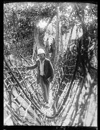 Travels in the congo (french: 8 Septembre 1926 Andre Gide Voyage Au Congo