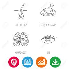 Eye Neurology Brain And Surgical Lamp Icons Trichology Linear