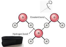 This video introduces intramolecular bonds (within a molecule) and intermolecular bonds (between molecules). Chem 201 Intramolecular Vs Intermolecular Forces