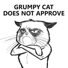 Grumpy Cat Discovered By Maria On We Heart It