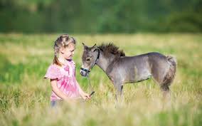 Maybe you would like to learn more about one of these? Five Fun Facts About The Miniature Horse Central Florida Ag News