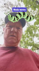 How to Prepare A Wooly Worm for A Woolyworm Race