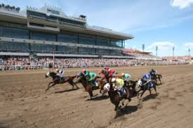 2018 Live Racing Seats Packages And Spaces Canterbury Park