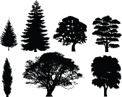 Maybe you would like to learn more about one of these? Silhouette White Tree Clipart Novocom Top