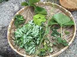 自然の恵み そのへんの雑草でウマかったものベスト8 タダで食べられるだけじゃない バイアグラ的な効果がある草もあってビビった ロケットニュース24