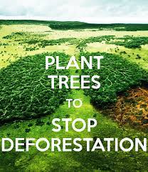 At the store, at work, and on. Stop Deforestation Posts Facebook