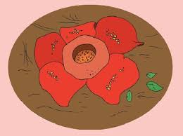 Fauna yang dilindungi di indonesia ini dulunya sangat mudah dijumpai di sekitar hutan pegunugan di jawa. Flora Dan Fauna Langka Di Negara Negara Asean Bloggers Id