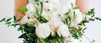 Many colors, including white, pink, yellow, red, and purple (december to april) bride sniffing white tulip bouquet. 8 In Season Flowers For December Wedded Wonderland