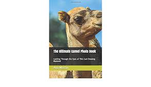 As the camel, and the hare, and the coney: The Ultimate Camel Photo Book Looking Through The Eyes Of This Cud Chewing Mammal Martin Ava 9781093306200 Amazon Com Books