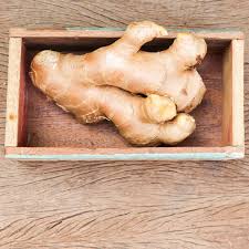 Der ingwer (zingiber officinale), auch ingber, imber, immerwurzel und ingwerwurzel genannt, ist eine pflanzenart aus der gattung ingwer (zingiber) innerhalb der familie der ingwergewächse (zingiberaceae). Ingwer Lagern So Geht S Brigitte De