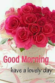 Maybe you would like to learn more about one of these? Good Morning Happy Saturday Flowers Good Morning Happy Saturday Good Morning Flowers Good Morning Greetings Good Morning Flowers Quotes