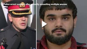 KIPPEN CARES Owners Reeling After Death Of 2 Dogs Under Care Of HAMILTON  KENNEL