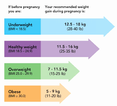 veritable weight gain for pregnancy calculator weight chart