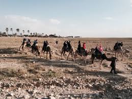 The story of purim is told in the book of esther. The 8th Grade Trip To Israel The Rashi School