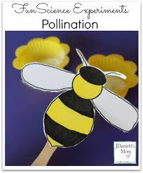 We did not find results for: Fun Science Experiments Pollination Cool Science Experiments Fun Science Science Experiments