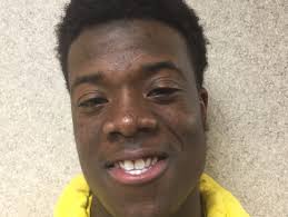 Delaware All-State football 2014