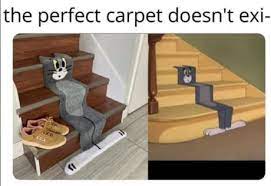 Is choosing a carpet color not as simple as you thought it'd be? The Perfect Carpet Doesn T Exi 9gag