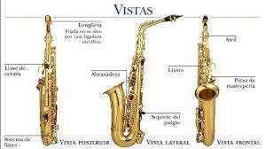 En el mundo de la música se conoce 4 tipos de saxofones muy populares que a continuación conoceremos en profundidad. Diferentes Tipos De Saxofon Que Existen Resumen Imagenes