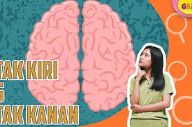 Ia menemukan bahwa otak manusia memiliki dua cara yang sangat berbeda dari pemikiran. Sering Dianggap Sama Ternyata Fungsi Otak Kanan Dan Kiri Justru Berbeda Fungsi Kids