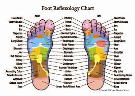 Reflexology Hand And Foot Chart New 8 X 11