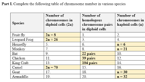 An example of homo sapiens fruit fly leopard frog housefly monkey bat chicken king crab camel goat armadillo petunia rice. Solved Part I Complete The Following Table Of Chromosome Chegg Com