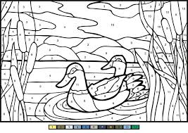 Older kids follow instructions in … Mullard Ducks Color By Number Coloring Page Free Printable Coloring Pages For Kids