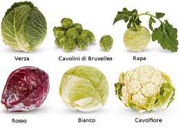 Maybe you would like to learn more about one of these? Cavolo Proprieta Benefici Caratteristiche Viversani
