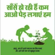 June 5, 2019 by un india hindi. Pin On Horticulture