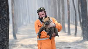 Australian Fires Have Incinerated The Habitats Of Up To 100 Threatened Species In 2020 Kangaroo Island Wildlife Species