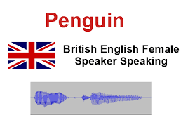 Pronunciation / accent coach and director of etj english ltd. Penguin Pronunciation How To Pronounce English Accent Pronunciation