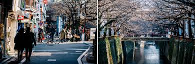 Résultat de recherche d'images pour "baja nakameguro"