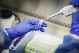 Drug testing locations near you. Sinai Grace Hospital Dabo To Offer Free Covid 19 Testing Through May
