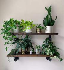 4.5 out of 5 stars. 32 Inspiring Wall Plant Decorations For Your Living Room Molitsy Blog In 2021 Plant Wall Decor Diy Plants Decor Indoor Plants Wall