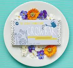 And the best part is…the paw paw tree is a native tree, so it. Edible Flower Growbar By The Gluttonous Gardener Notonthehighstreet Com